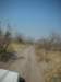 betweenlinyatiandsavutiarouteknowntobeabitsandychobenationalparkbotswana_small.jpg