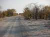 chobenationalparkbotswana4_small.jpg