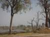 deadtreeislandmoremiwildlifereserveokavangodeltabotswana_small.jpg