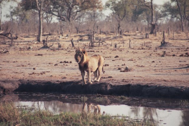 khwairiverokavangodeltabotswana.jpg