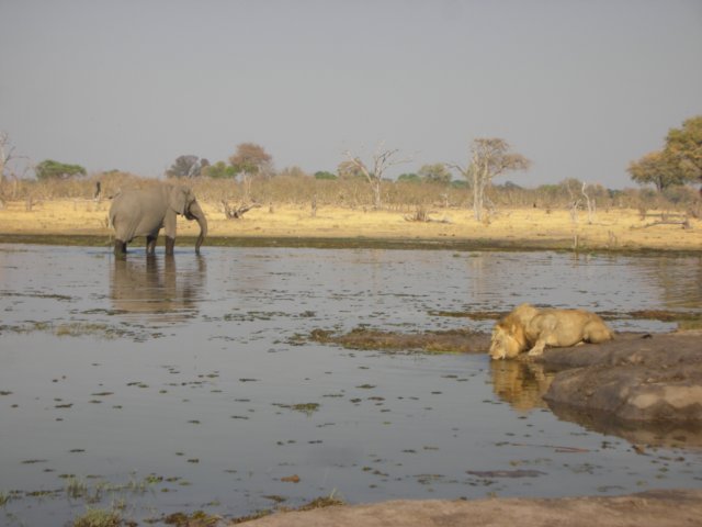 khwairiverokavangodeltabotswana2.jpg