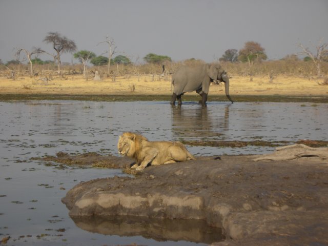 khwairiverokavangodeltabotswana3.jpg