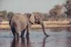 khwairiverokavangodeltabotswana4_small.jpg