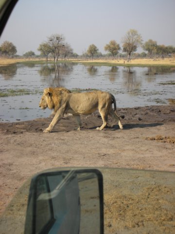 khwairiverokavangodeltabotswana7.jpg