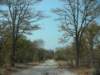 moremiwildlifereserveokavangodeltabotswana10_small.jpg