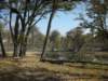 moremiwildlifereserveokavangodeltabotswana4_small.jpg