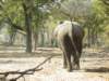 moremiwildlifereserveokavangodeltabotswana5_small.jpg
