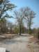 moremiwildlifereserveokavangodeltabotswana9_small.jpg