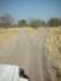 moremiwildlifereserveokavangodeltabotswanaasmostofbotswanaitissandy_small.jpg