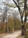 moremiwildlifereserveokavangodeltabotswanaweandmanyothersfoundthefaunaincreadiblyscenic_small.jpg
