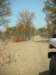 ontheedgeoftheokavangodeltabotswana_small.jpg