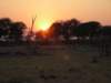 sunriseatthekhwairiverariverinthenorthernpartoftheokavangodeltabotswana_small.jpg