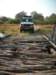 thebridgesinmoremiwildlifereservearebuiltrathernaturallybotswana_small.jpg