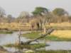 thisdaywastodevelopintooneofthebestanimalspottingdaysofourentireafricatrip_small.jpg