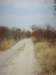 typicaltrackinbotswana_small.jpg