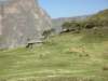 geladababoonsatchenekcampsimienmountainsnationalparknorthernethiopia_small.jpg