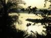 laketanaatbahirdarnorthernethiopiapapyruscanoesareacommonsight_small.jpg