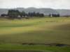 manyareasobove2700marecoveredingrassthatlookslikegolfcourseswhereethiopianskeeptheirbigheardsofsheepgoatsandcows_small.jpg