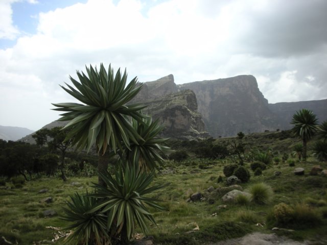 northernethiopiasimienmountainsnationalpark3.jpg