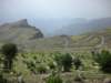 simienmountainsnationalparknorthernethiopiatheroadleadingupto4300mafterthecampofchenek_small.jpg