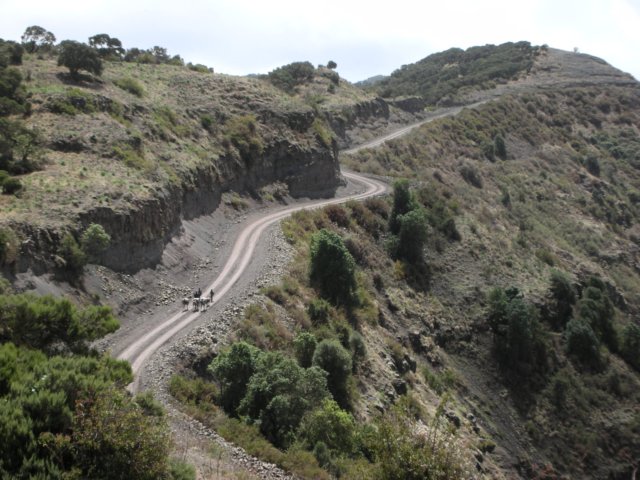 whilemostvisitorstrekthereisagoodroadinsimienmountainsnationalparknorthernethiopia.jpg
