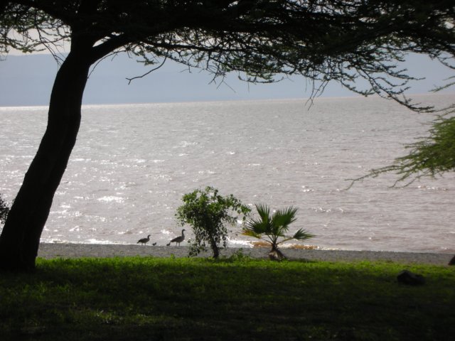 lakelanganosouthernethiopia.jpg