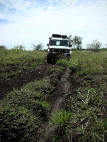 nechisarnationalparksouthernethiopia3.jpg