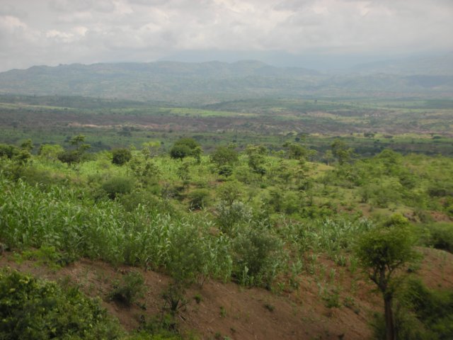 onthewaybetweenarbaminchkonsosouthernethiopia.jpg