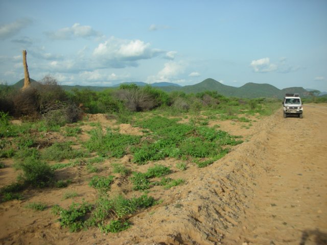 termitemoundchimneyinsouthernethiopia.jpg