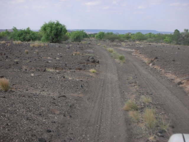 duetotherainyseasonsomeplantsgrowinstronggreenanicecontrasttothevolcanicsoil.jpg