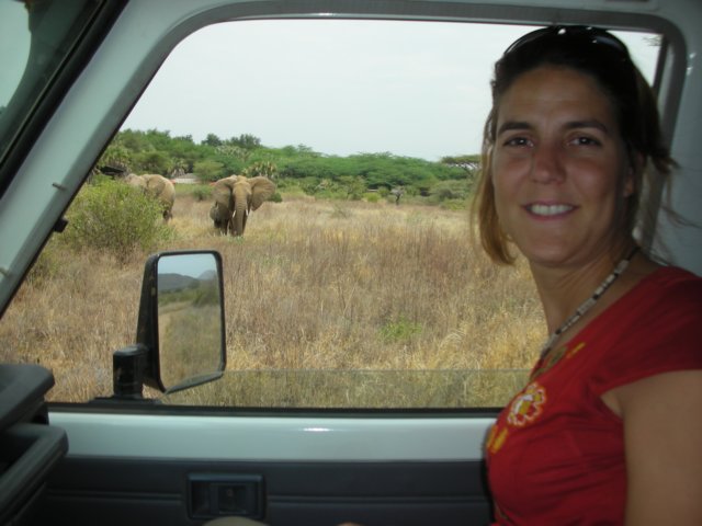 itswonderfulbeingonsafariwithyourowncar.jpg