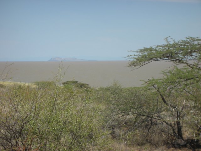 laketurkanaalsoknownasjadeseeisactualyredinthenorthernpartfromsedimentsintheomoriver.jpg