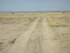 oryxantilopesinsibiloinationalpark_small.jpg