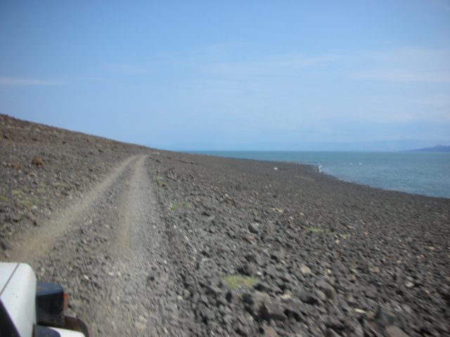 thetrackfromloyangalanitowardssouthhorrlaketurkananorthernkenya2.jpg