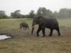amboselinationalparkkenya5_small.jpg