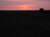 atsunriseseveralballoonsafaristakeoffinthemasaimaranationalreservekenya_small.jpg