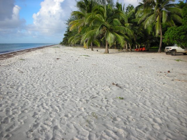tiwibeachmombasakenya.jpg
