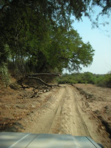 leavingsouthluangwanationalparktowardslusakawetookashortcutbutthetrackwasveryslowfor200kmorso.jpg