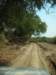 leavingsouthluangwanationalparktowardslusakawetookashortcutbutthetrackwasveryslowfor200kmorso_small.jpg