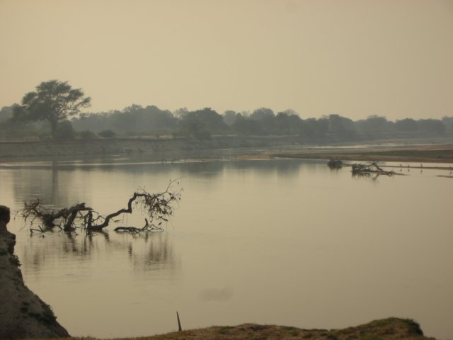 southluangwanationalparkzambia9.jpg