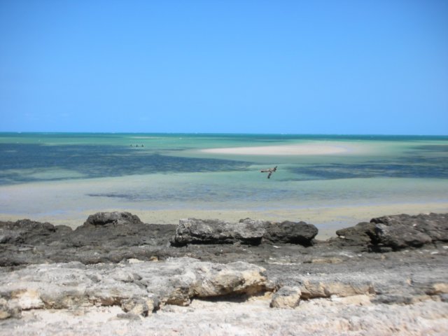 drivingsouthmoreorlessalongthecoastwestoppedatabeachnearthetownofmembabutdecidedto.jpg