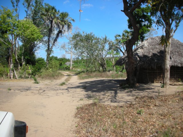 firstimpressionsofmozambiquedrivingfromtherovumarivertotheimmigrationofficevillage.jpg