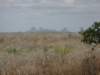 frompembawedrovesouthtowardsnacalatherearesomeinterestinglyshapedrockformationsenroute_small.jpg