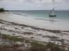 herewestayedonenightnearthetownofchocasafewkmnorthofilhademozambique_small.jpg