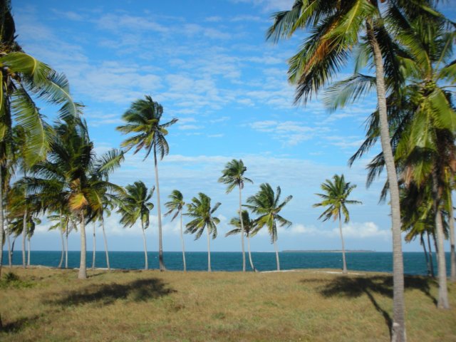 onthewaytopanganebeachnorthernmozambique.jpg