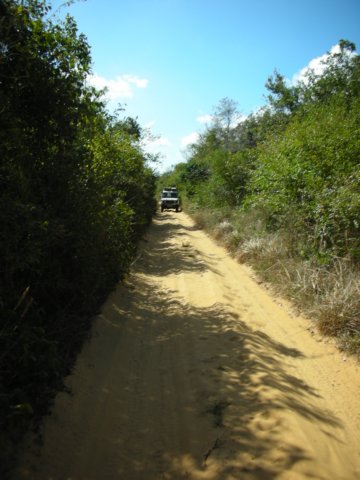 ourfirst40kminmozambiqueareonanarrowpathsurroundedbydensebush.jpg