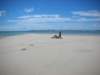 panganenorthernmozambique_small.jpg