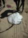 thefishermenalsogotthisbigstingray_small.jpg