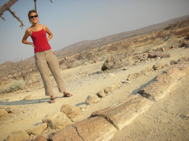 thenowpetrifiedtreesgrewaround260millionyearsagowhenafricawaspartofthecontinentgondwanaland.jpg
