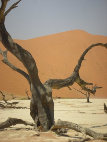 deadvleinamibia3.jpg